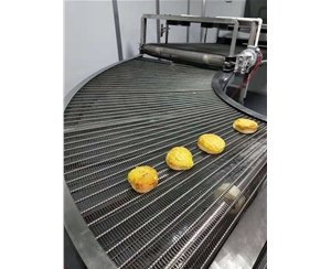 河南食品网带转弯机