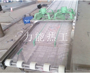 河南乙字网输送机