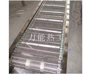 河南链网输送机