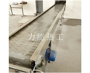 河南链板输送机